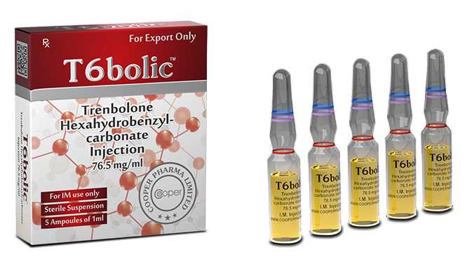 T6-Bolic (Hexa)