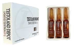 Testoland Depot (3amp)